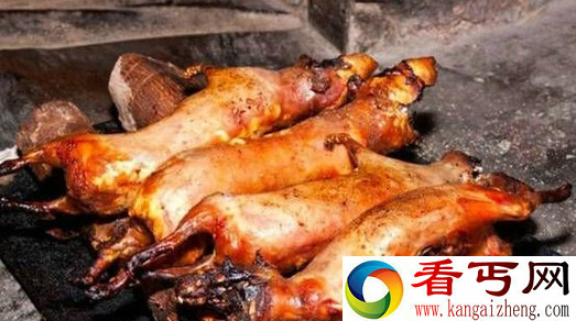 越南民俗越南人吃老鼠肉上瘾