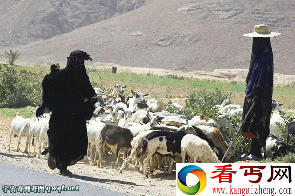 哈德拉毛的神秘女子全身包裹不露丝毫