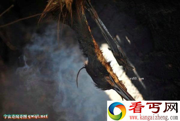 乌干达崇拜巫术 竟割取儿童器官当祭品