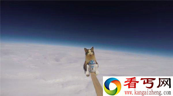 一对小姐妹带猫高飞2万米 看她们是如何做到的？