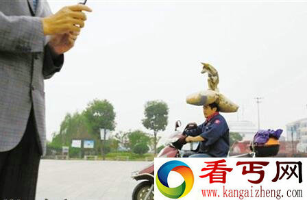 顶狗哥走红能头顶百斤重的沙袋和狗