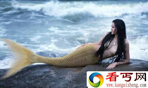 美人鱼真身图片 真正的美人鱼照片