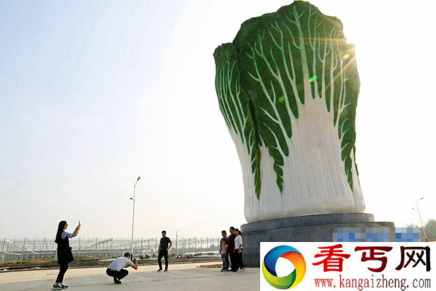 河南建高19米白菜雕塑 造型逼真引人围观