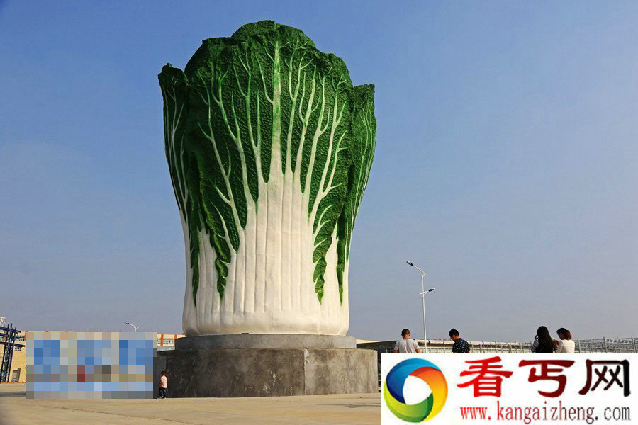 河南建高19米白菜雕塑 造型逼真引人围观
