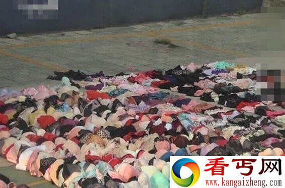 男子3年盗窃数百件女性胸罩 可堆满半个球场