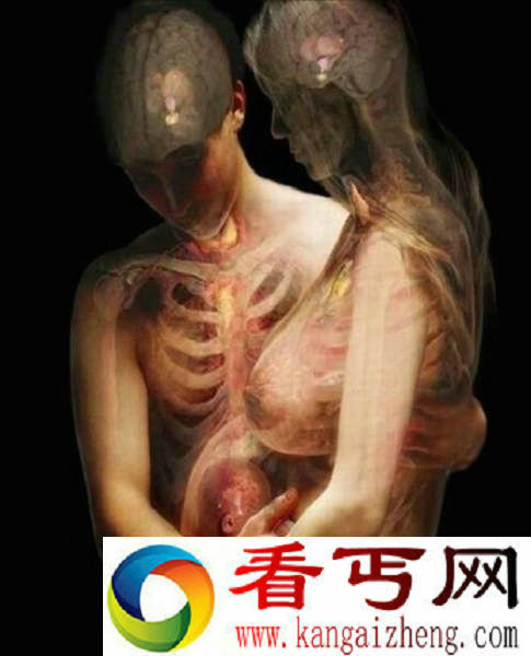 X光下的另类美女人体艺术