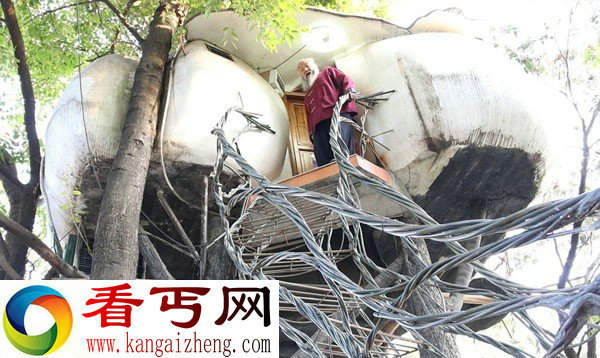 广东顺德白须6旬根雕大师隐居树上 3年租金达10万