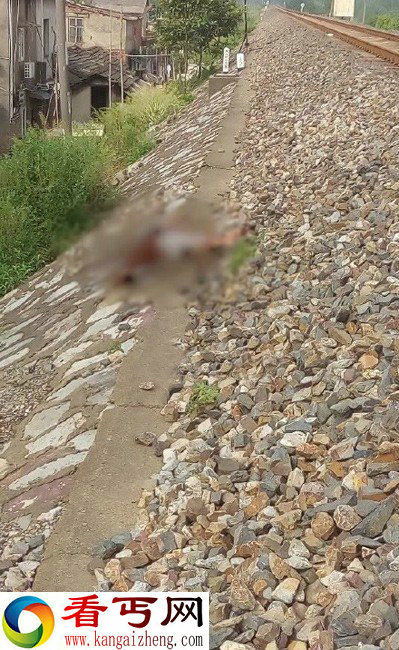 女子横过铁轨被行驶过来的火车拖拽致死