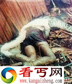 恐怖惊悚！农妇被蟒蛇活活生吞了