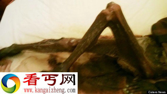 比利时老人不信丈夫离开人世 与丈夫腐烂尸体同寝一年