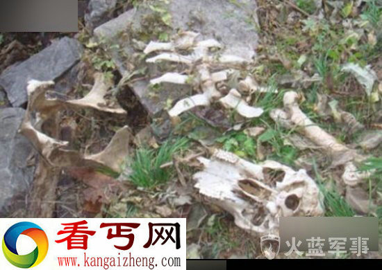 揭晓中国神秘黄河鬼棺的恐怖真相