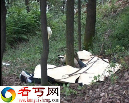 四川宜宾公园惊现双尸疑为“白塔山首富”
