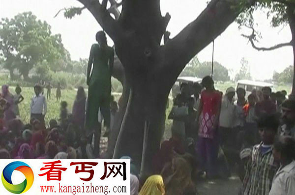 印度再发少女遭强奸被杀悬挂树上惨案(案发现场组图)