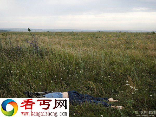 马航MH17遇难者遗体砸进卧室田野到处都是遇难者遗体