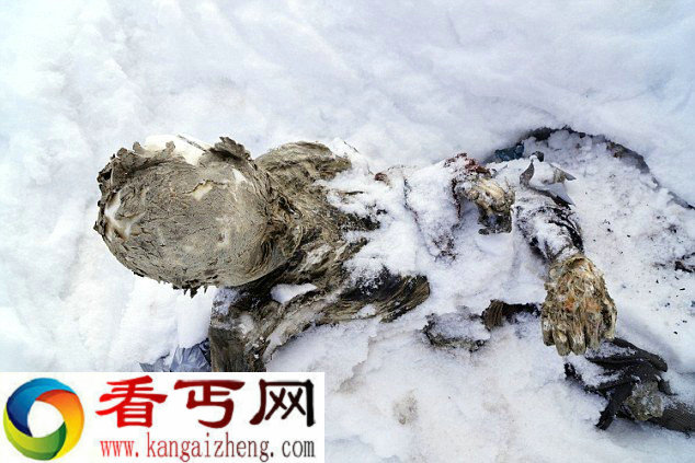 奥里萨巴山发现失踪55年登山者尸体早已变成干尸