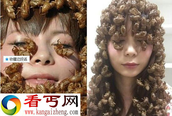 恐怖密集！日本女星被蝉淹没了