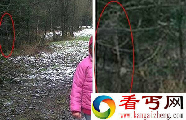 在树林边拍摄到的骷髅照片