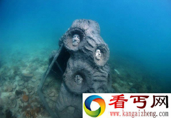 泰国龟岛海底惊现神秘人脸 吓懵了游客