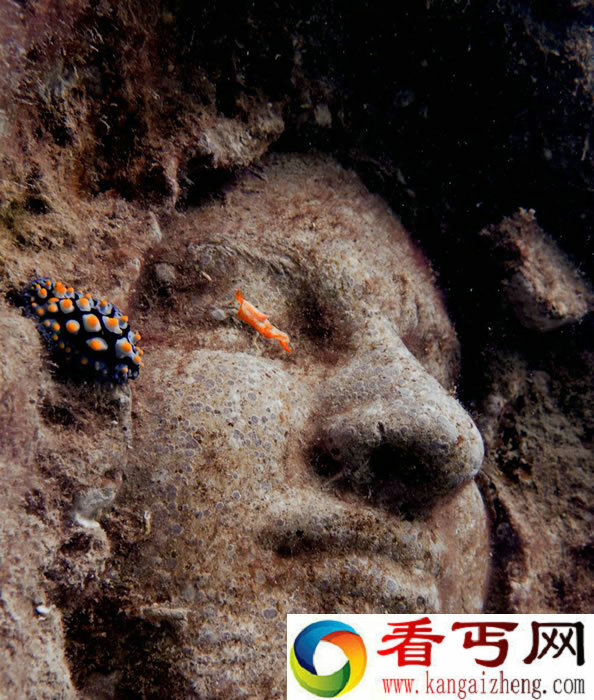 泰国龟岛海底惊现神秘人脸 吓懵了游客