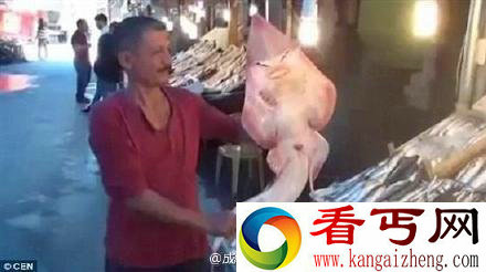 土耳其渔民捞起人脸鲨鱼 展现迷人微笑