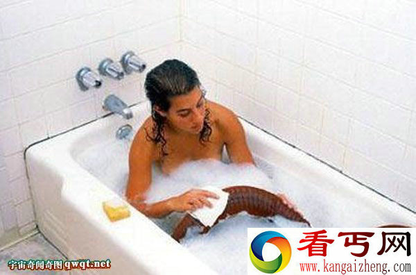 毛骨悚然!跟蟒蛇一样大的蚯蚓竟与美女一起洗澡睡觉