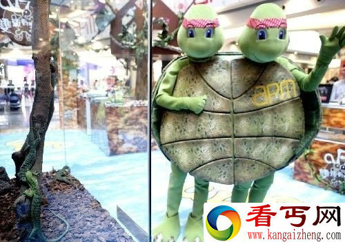 长见识！香港商场举办“稀有变异动物展”
