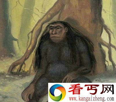 异种人类？印尼发现酷似人类的小脚怪