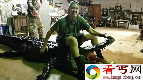 美国惊现短吻鳄 体形庞大似恐龙