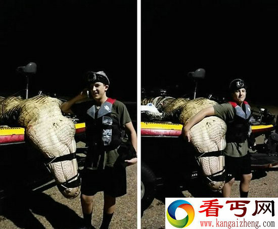 美国惊现短吻鳄 体形庞大似恐龙