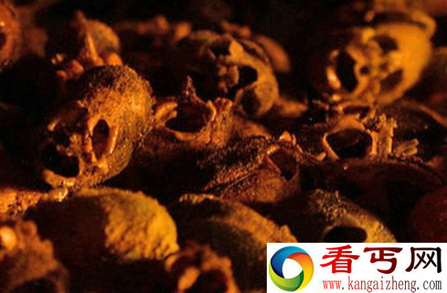 植物都成精了 盘点那些长出人体器官的植物