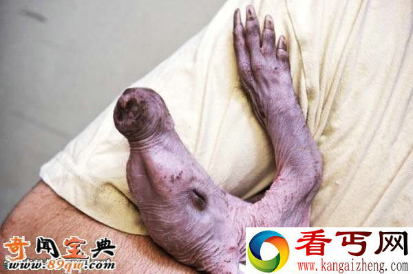 婴儿土豚:世界上最可怕的生物 像小猪的怪物