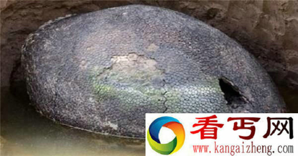 男子河边发现神秘巨石 没想到竟是恐龙化石