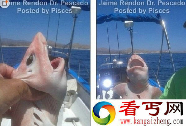 渔民捕获不明生物 这货到底是什么