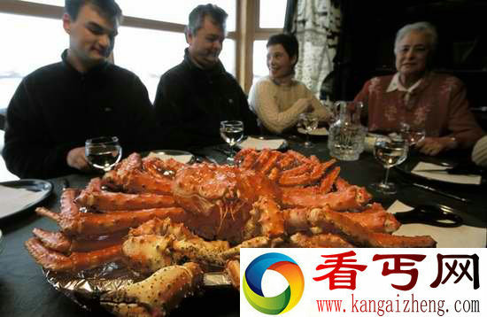 挪威巨型帝王蟹 已泛滥成灾可大饱口福