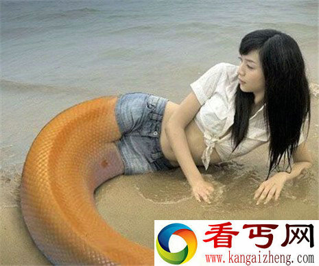 印尼现人头蛇身怪物 其背后真相骇人