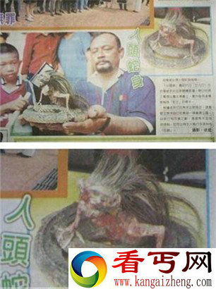 印尼现人头蛇身怪物 其背后真相骇人