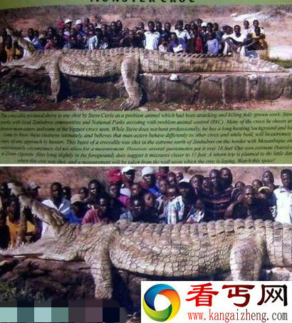 盘点疯传的千年成妖动物 巨大生灵怪物吓坏你