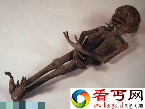 组图传说和现实中的18大怪物怪兽中国真龙标本