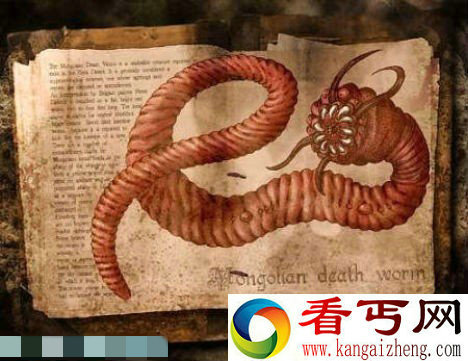 组图传说和现实中的18大怪物怪兽中国真龙标本