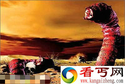 组图传说和现实中的18大怪物怪兽中国真龙标本