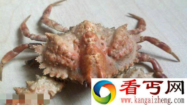 河中捞到深海怪物 是变异怪蟹么？
