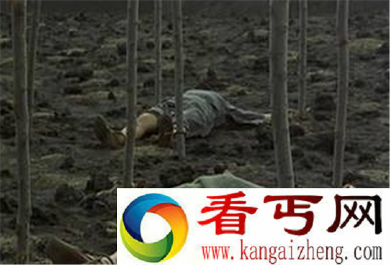 老汉死在自家猪圈被啃食 盘点那些惊悚的猪吃人事件