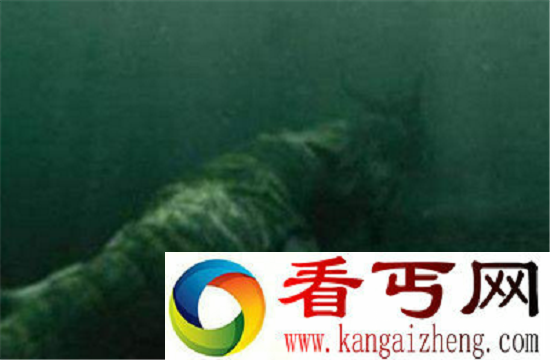 真龙现身引争议 98年洪水冲出龙尸是真是假?