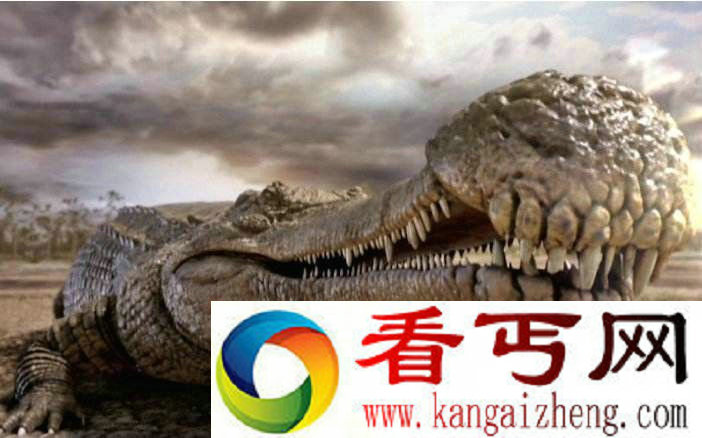 盘点史前巨型怪兽 魔鬼蛙巨蜘蛛吃恐龙史前令人惊叹不已!