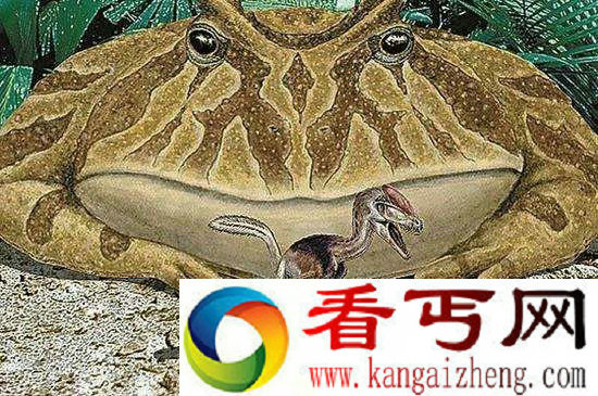 盘点史前巨型怪兽 魔鬼蛙巨蜘蛛吃恐龙史前令人惊叹不已!