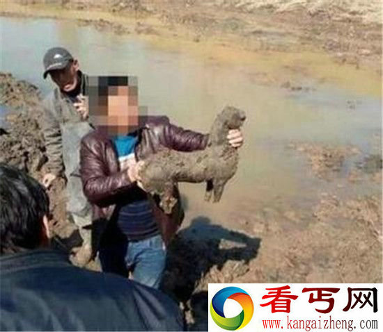 挖鱼塘挖出汉代古墓 部分出土文物精美绝伦