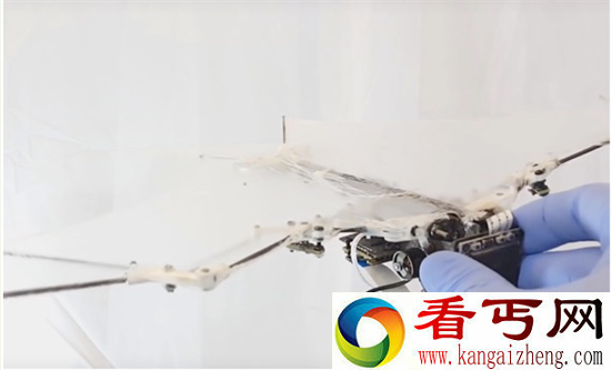 93克的蝙蝠机器人 执行搜索和救援任务