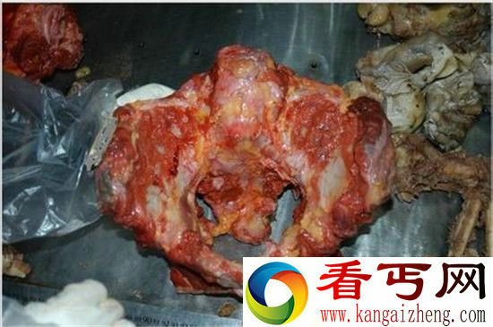 南大碎尸案成悬案 已过追诉期凶手将逃脱法律制裁?