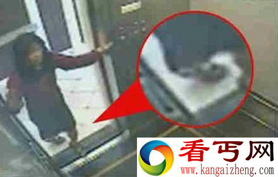 蓝可儿死亡真相大白 香港纸盒藏尸案更恐怖