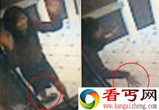 蓝可儿死亡真相大白 香港纸盒藏尸案更恐怖